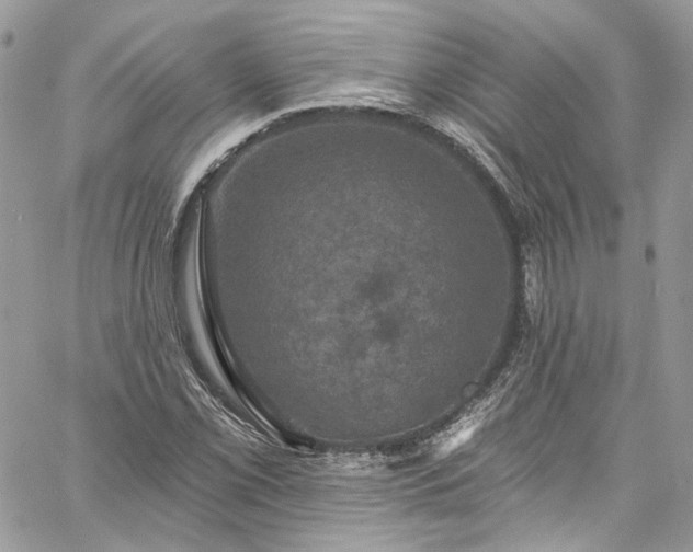 X0000060791069200511171302