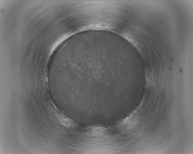 X0000060791070200511171302