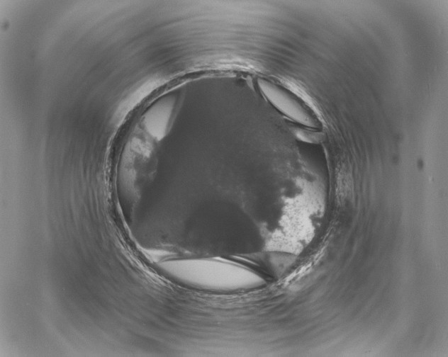 X0000060791071200511171302