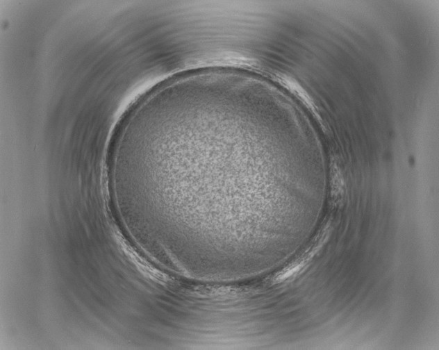 X0000060791072200511171302