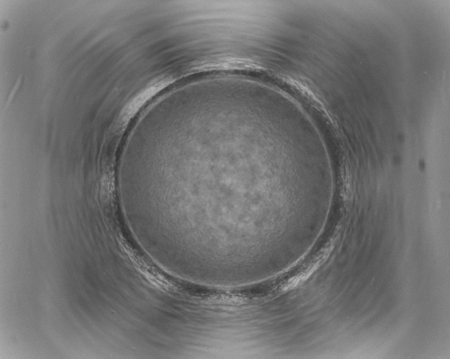 X0000060791073200511171302