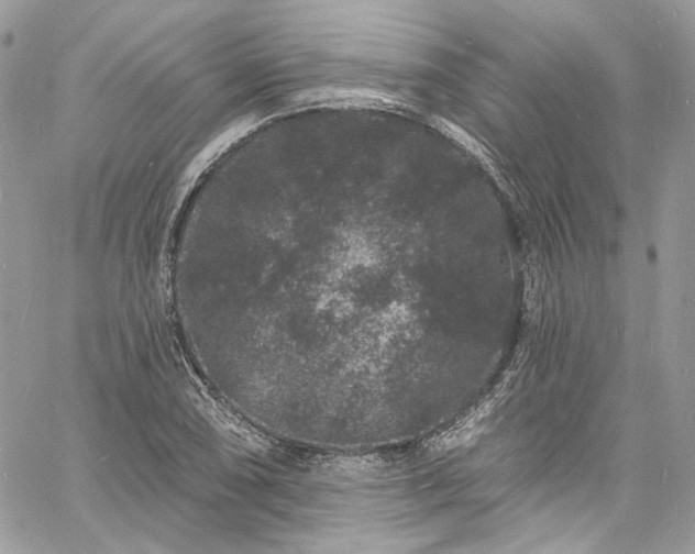 X0000060791074200511171302