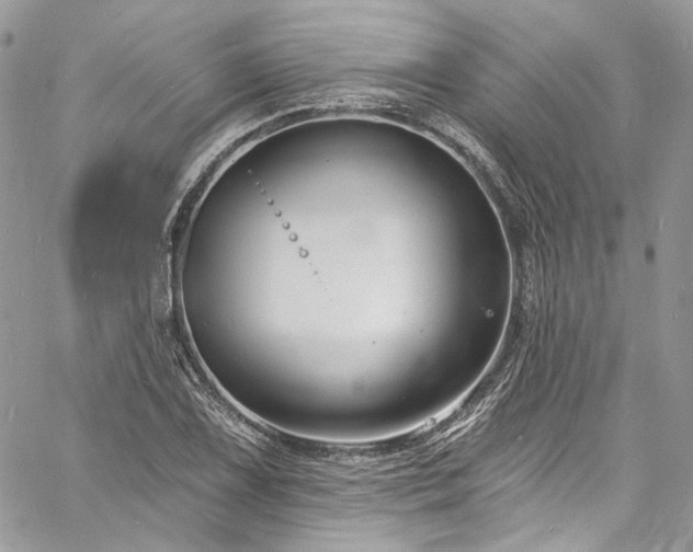 X0000060791075200511171302