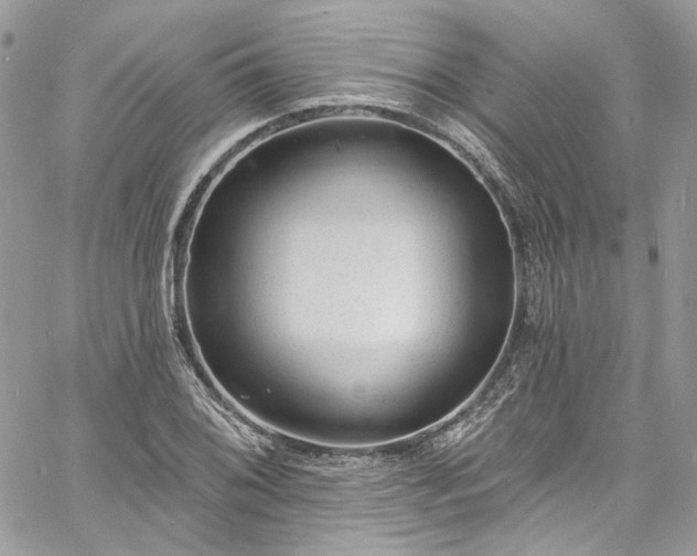 X0000060791076200511171302