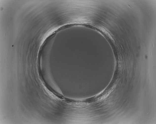 X0000060791077200511171302