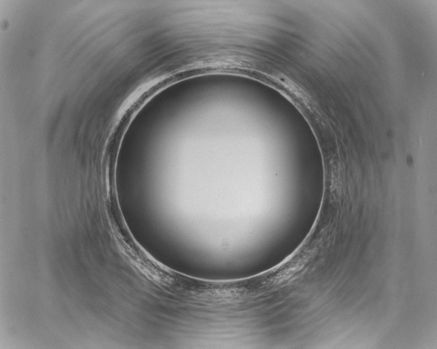 X0000060791078200511171302