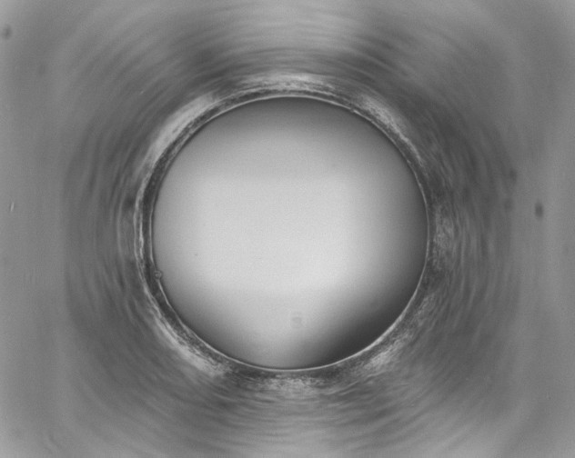 X0000060791082200511171302