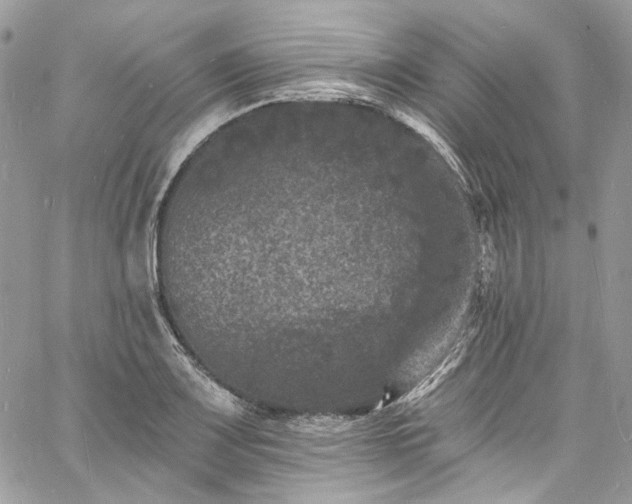 X0000060791083200511171302