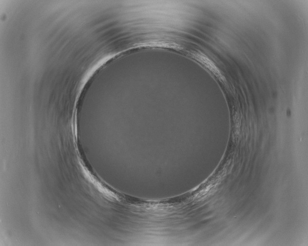 X0000060791084200511171302