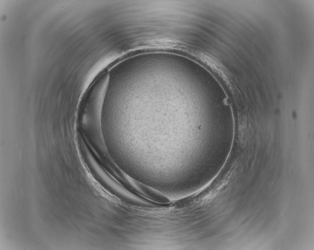 X0000060791085200511171302