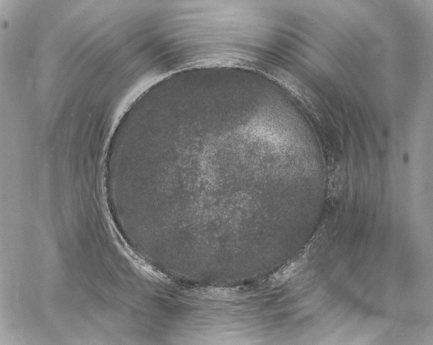 X0000060791086200511171302