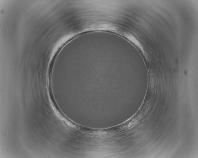 X0000060791088200511171302