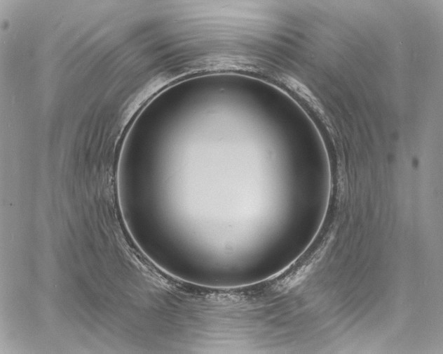 X0000060791089200511171302