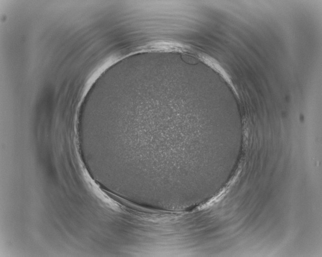 X0000060791091200511171302