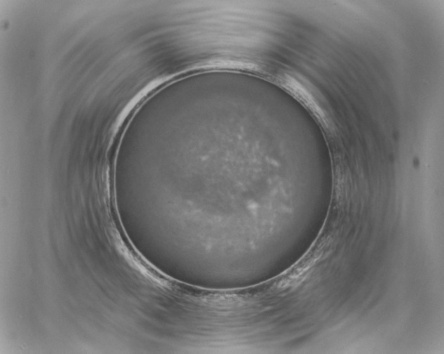 X0000060791092200511171302