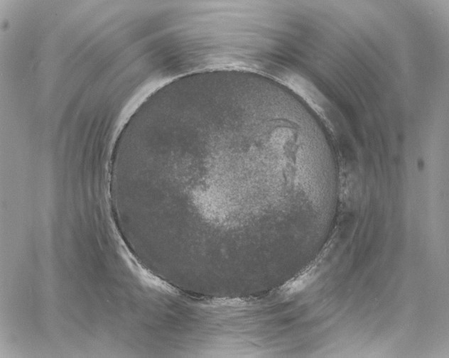 X0000060791094200511171302