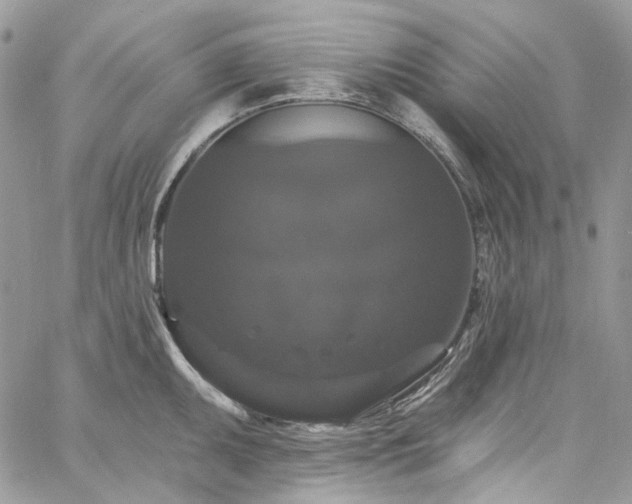 X0000060791095200511171302