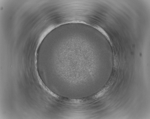 X0000060791096200511171302