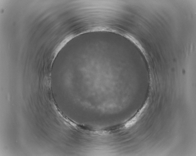 X0000060791097200511171302