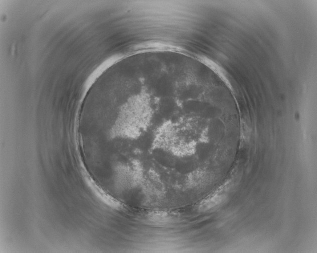 X0000060791098200511171302