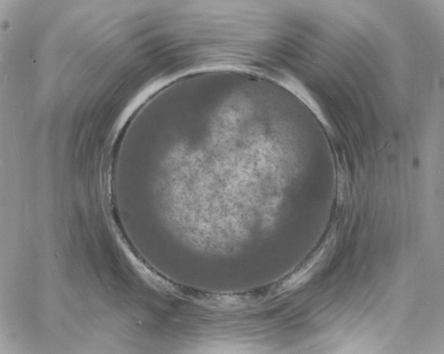 X0000060791101200511171302