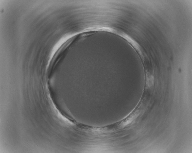 X0000060791102200511171302