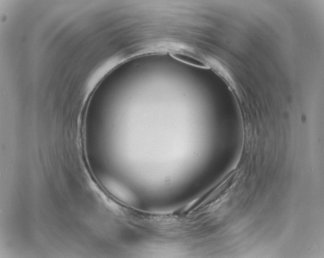 X0000060791103200511171302