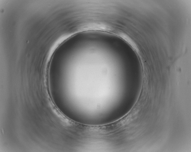 X0000060791104200511171302