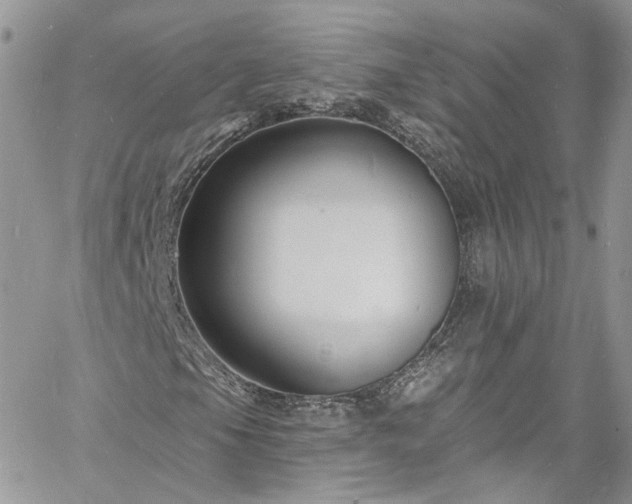 X0000060791105200511171301