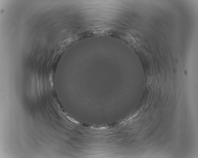 X0000060791106200511171301