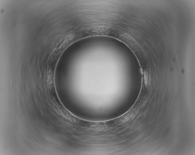 X0000060791107200511171301