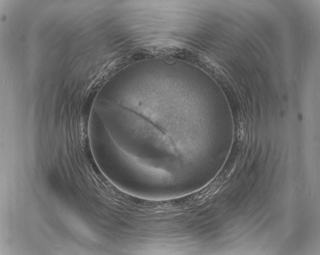 X0000060791108200511171301