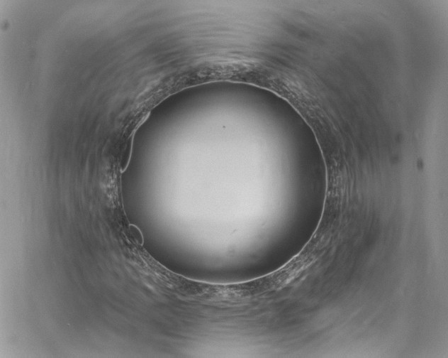 X0000060791109200511171301