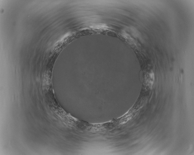 X0000060791110200511171301