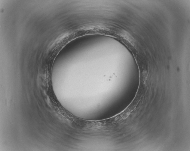 X0000060791111200511171301