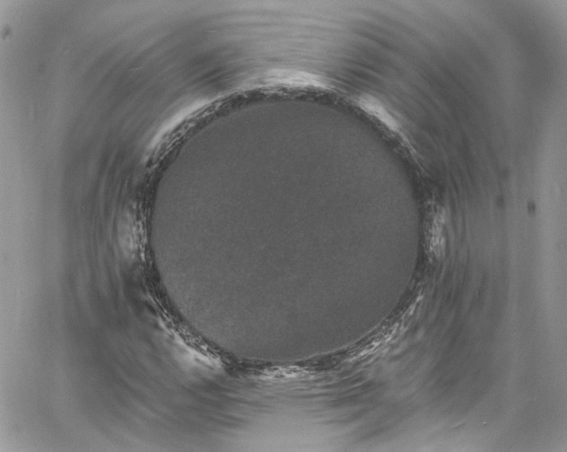 X0000060791112200511171301