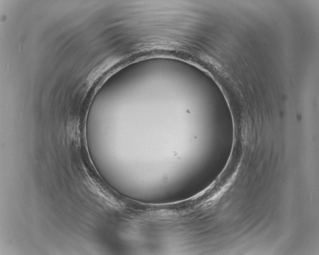 X0000060791113200511171301