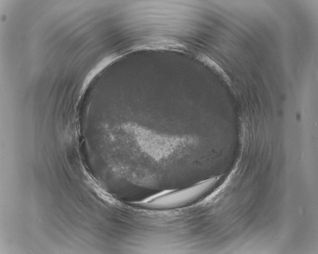 X0000060791114200511171301