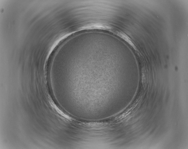 X0000060791116200511171301