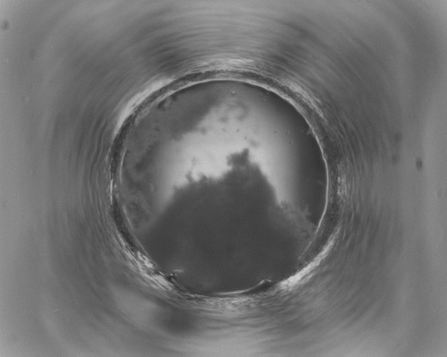 X0000060791117200511171301