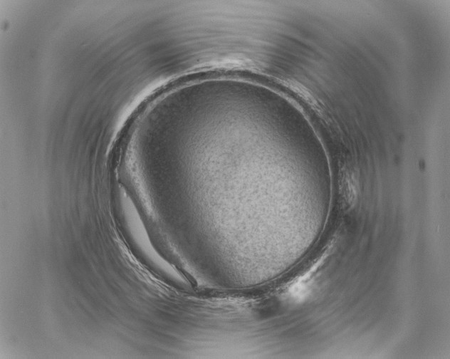 X0000060791118200511171301