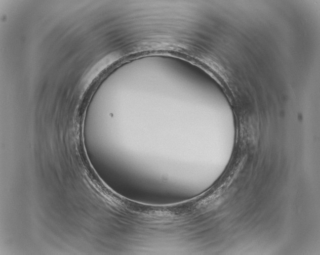 X0000060791119200511171301