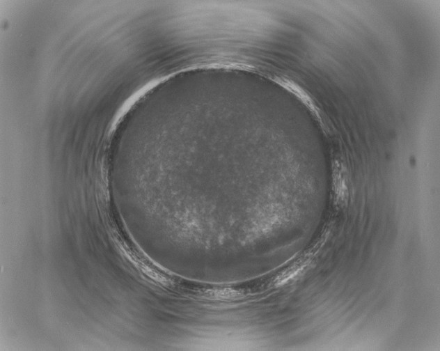 X0000060791120200511171301