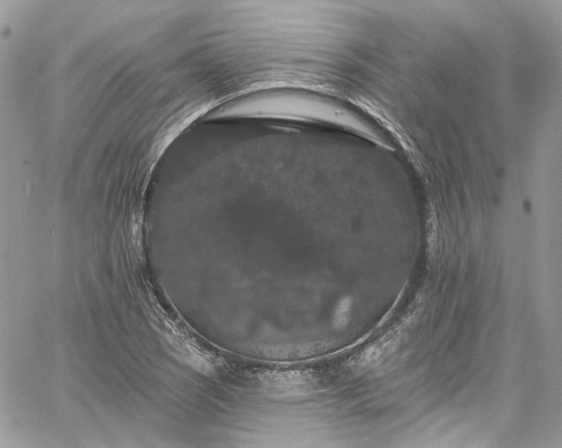 X0000060791121200511171301