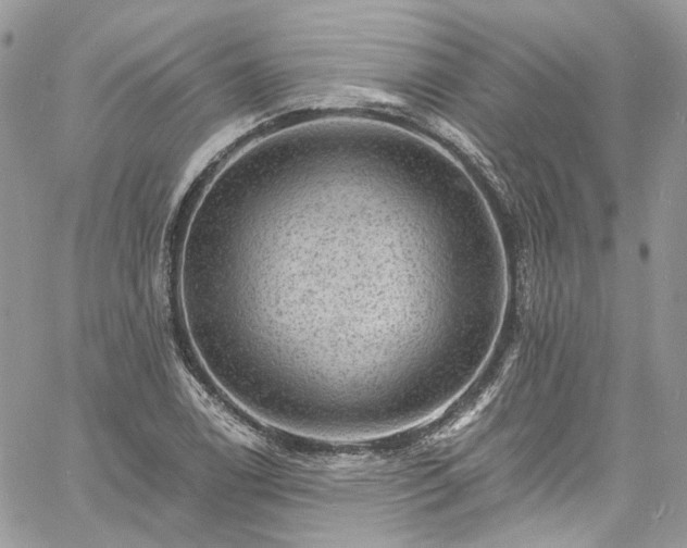 X0000060791122200511171301