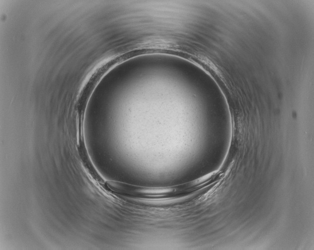 X0000060791123200511171301