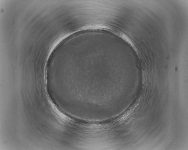 X0000060791124200511171301