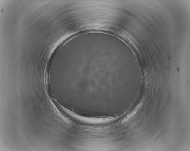 X0000060791125200511171301