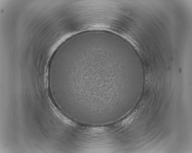 X0000060791126200511171301