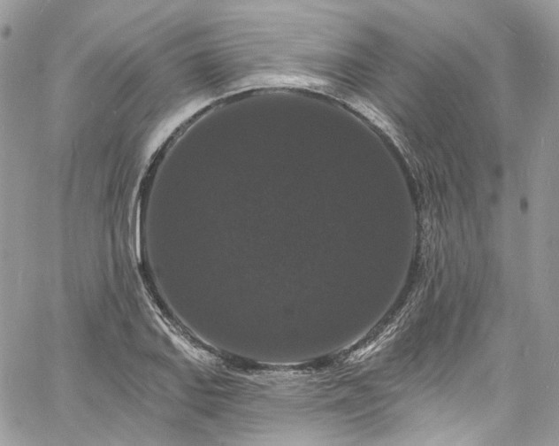 X0000060791127200511171301